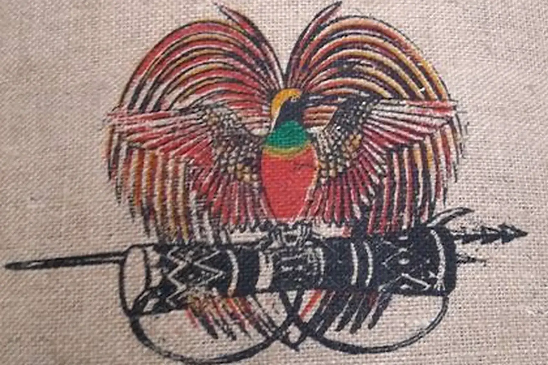 café papouasie - nouvelle guinée biologique