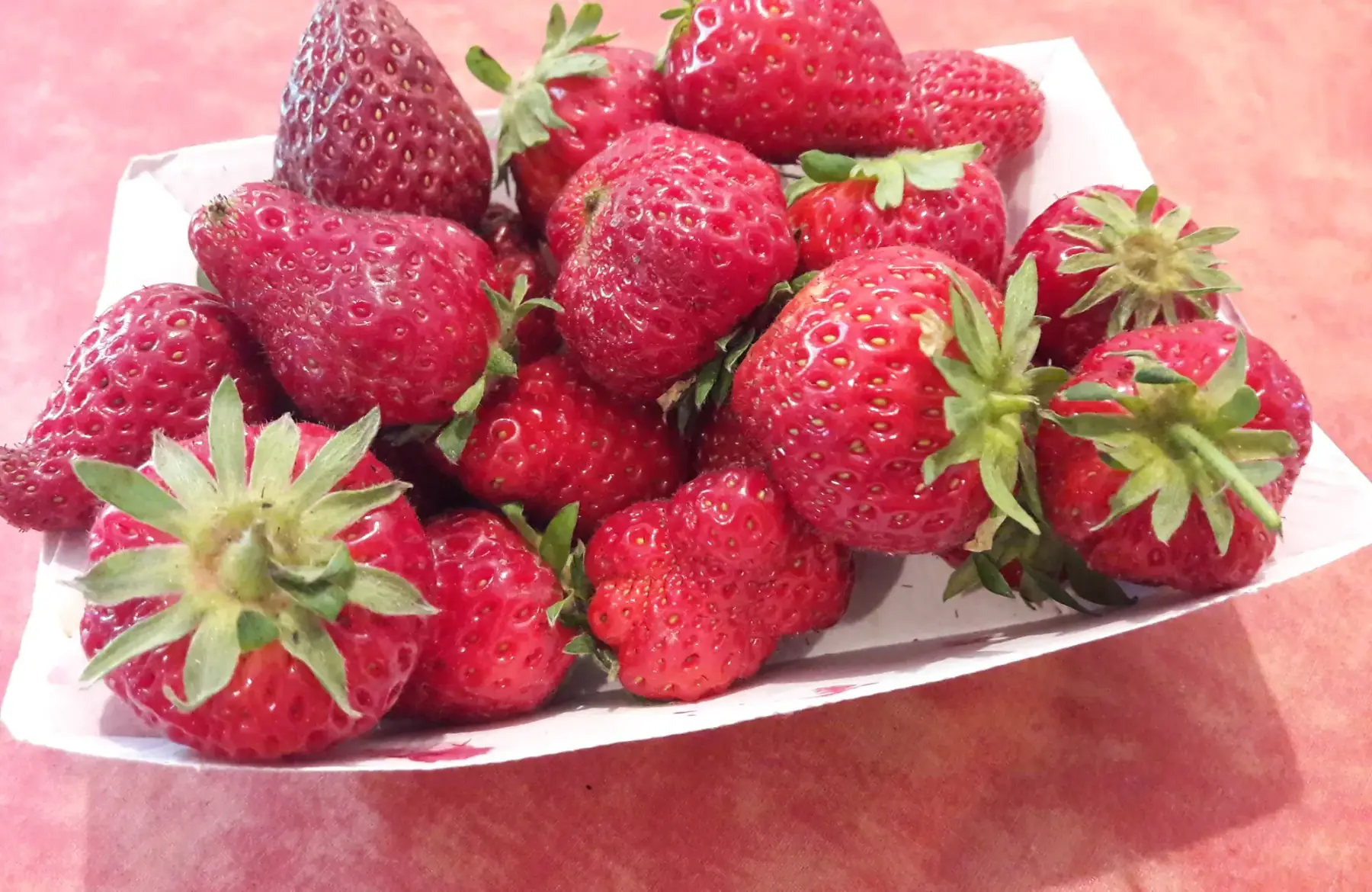 fraises