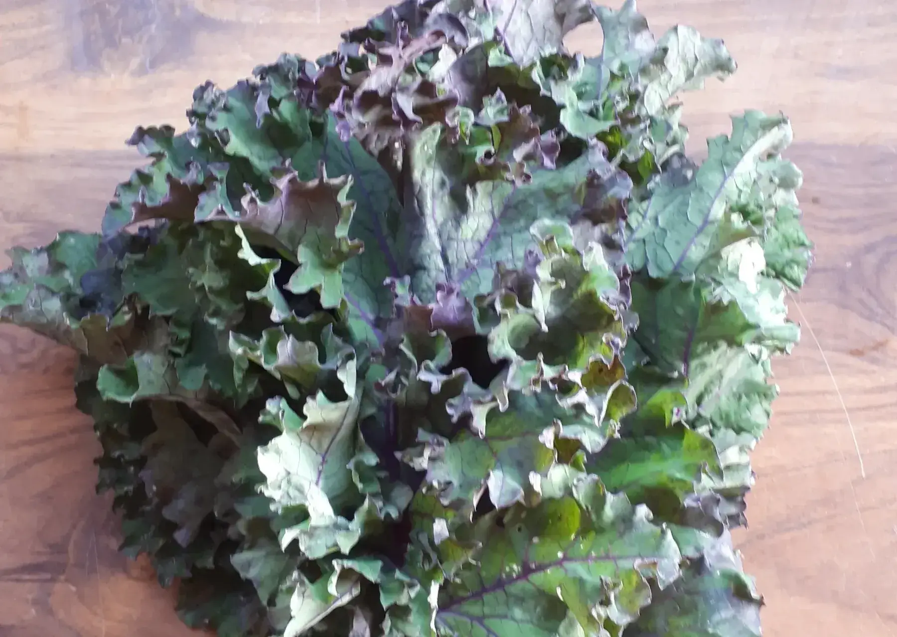 chou kale