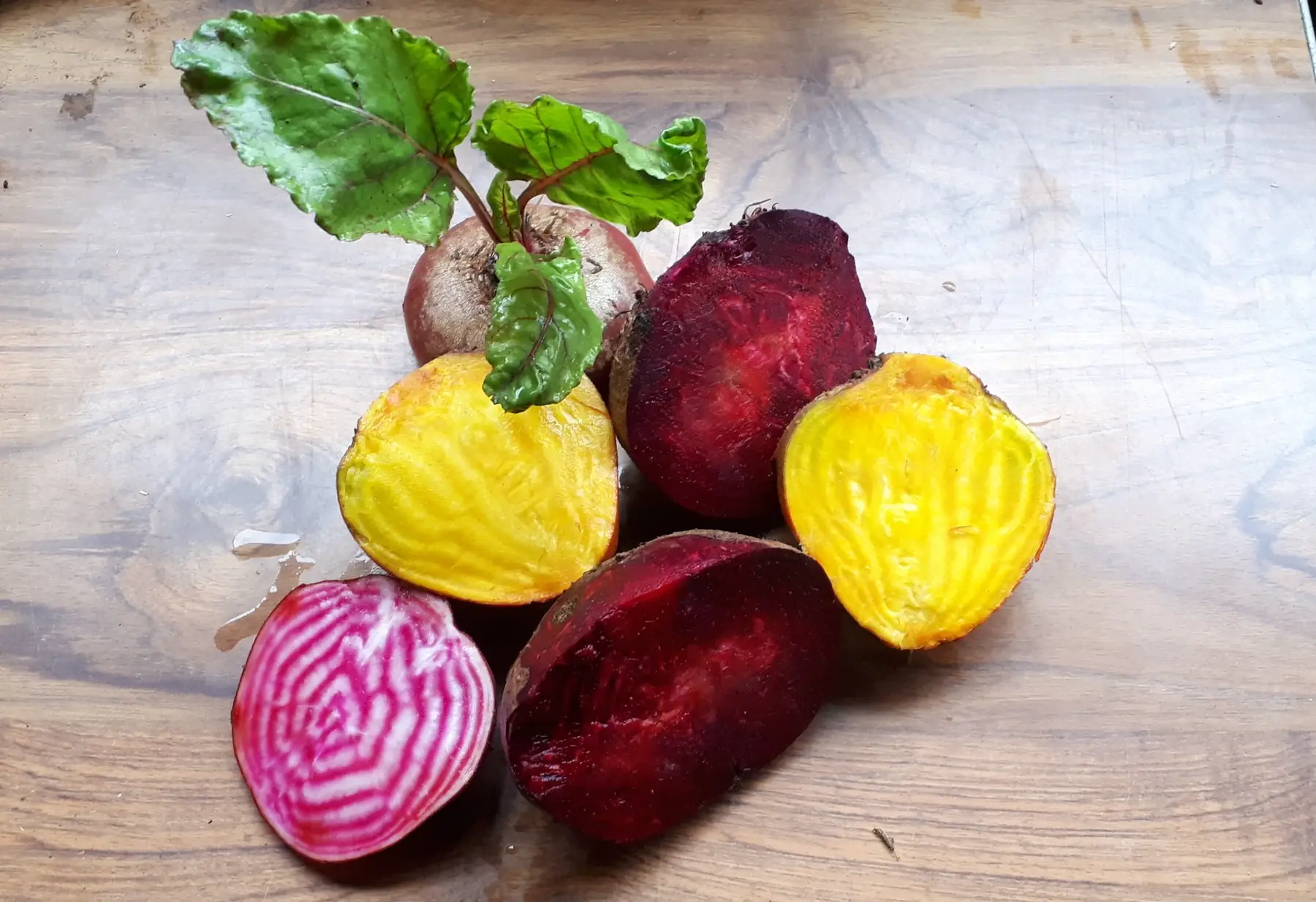 betteraves en mélange