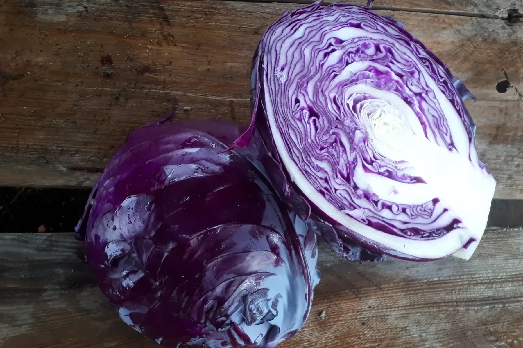 GAEC Les jardins de Belle Garde