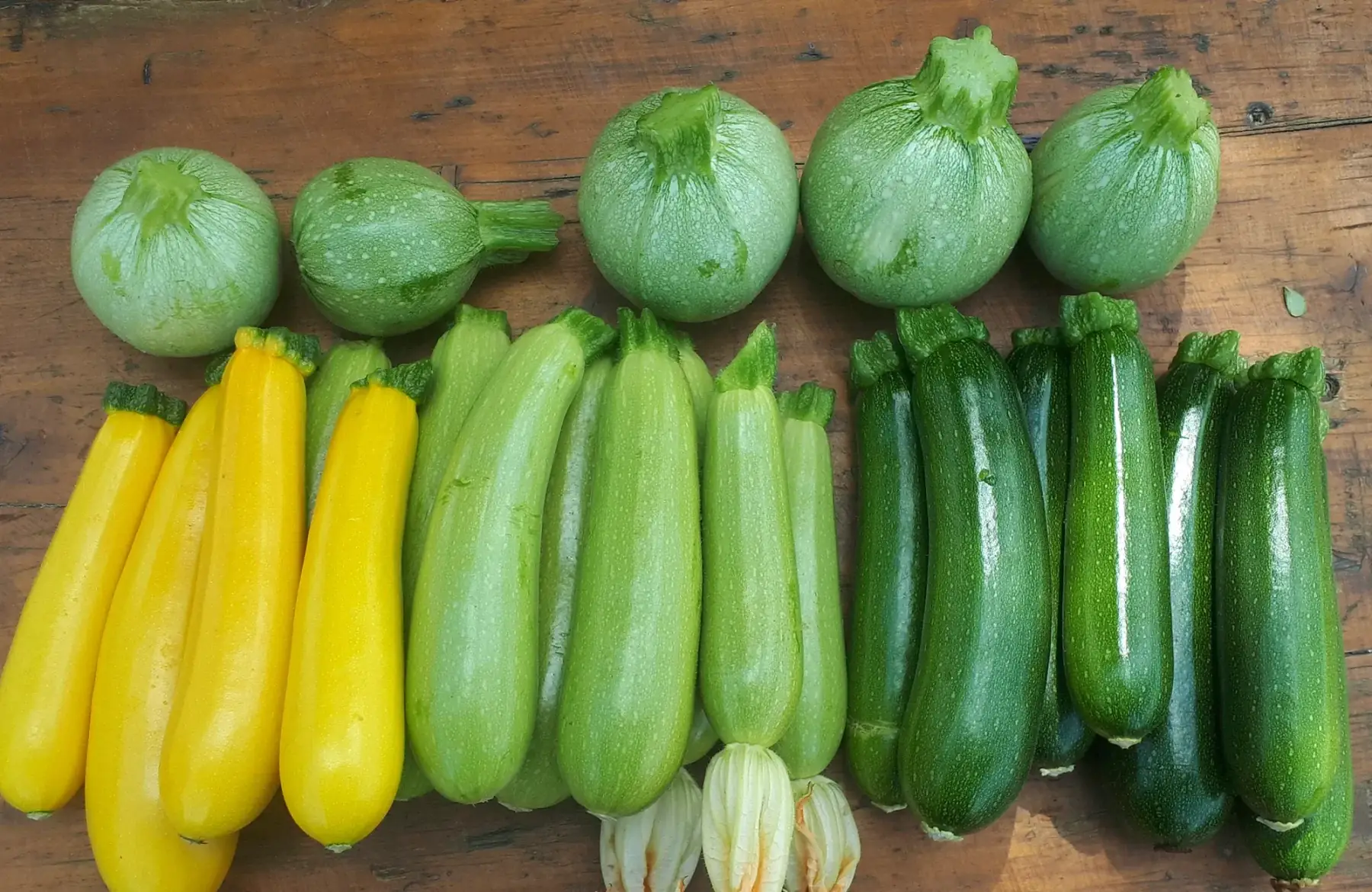 courgettes en memélange