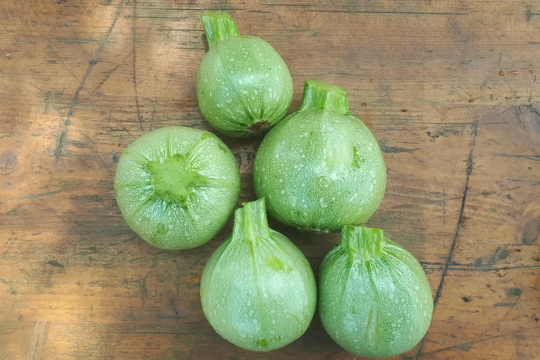 courgettes rondes