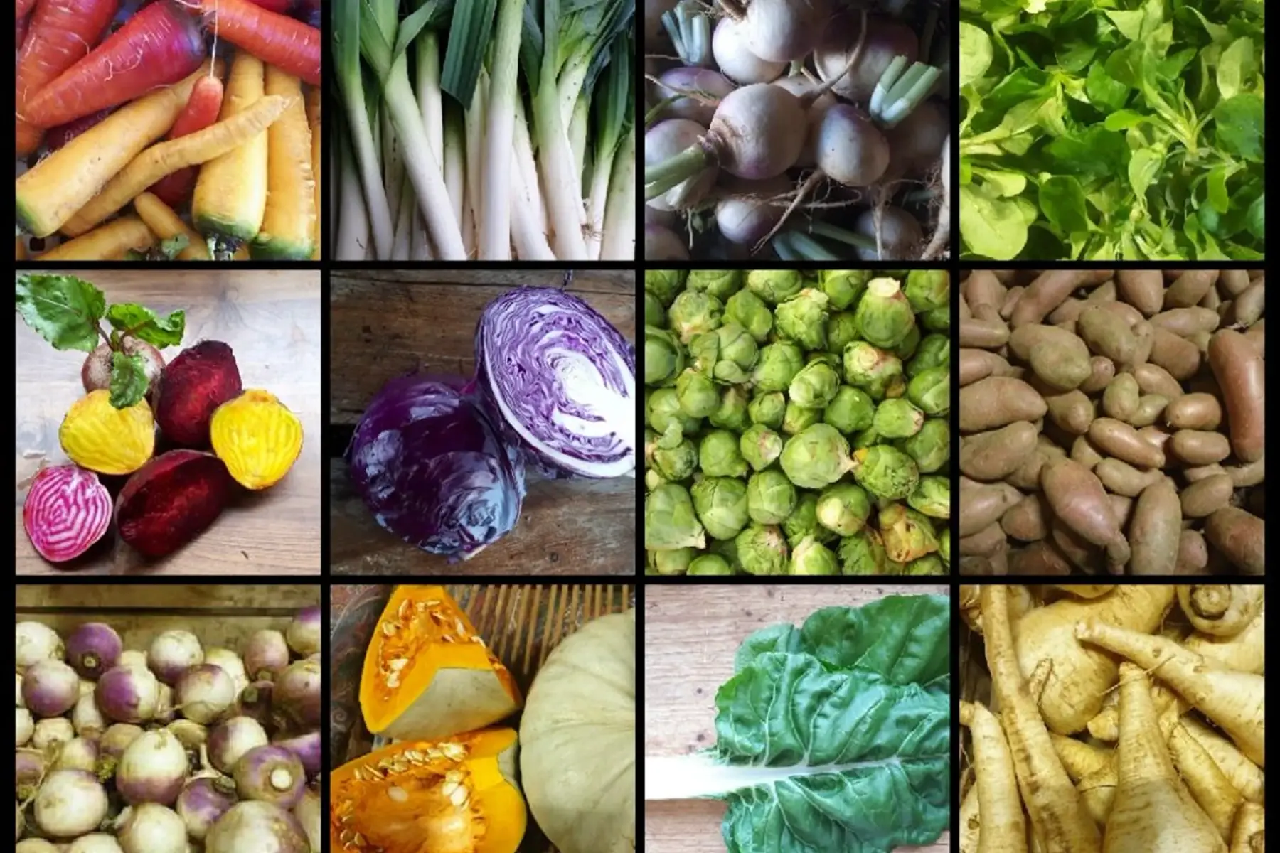 panier de saison à 15 euros