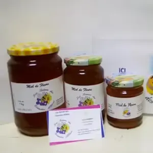 celine riandet (Ferrari)