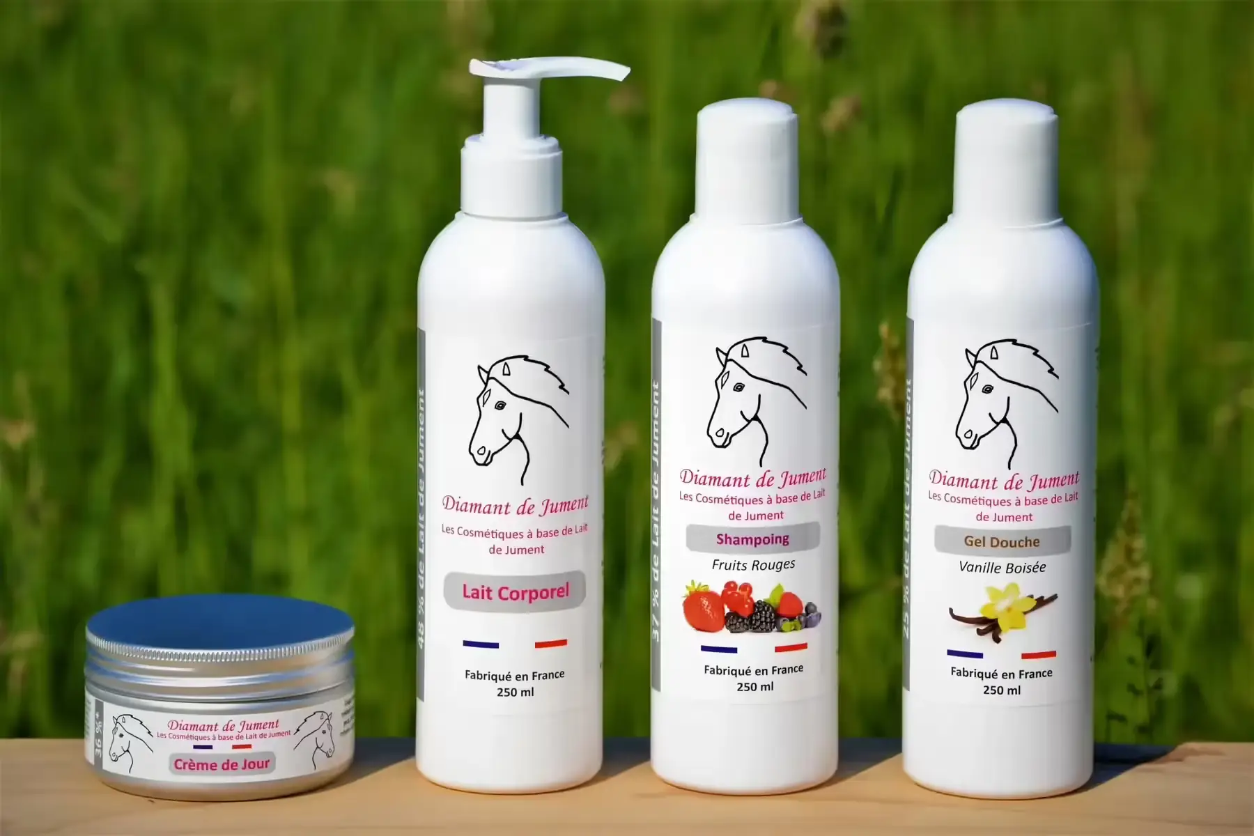 la grande découverte