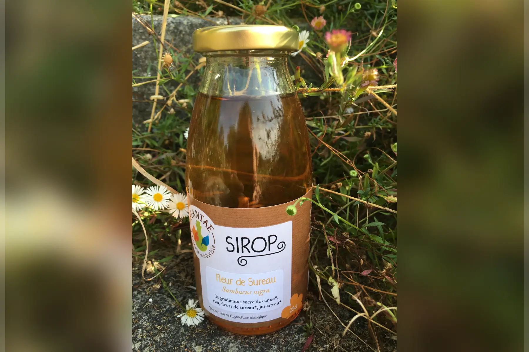 sirop fleur de sureau 25cl
