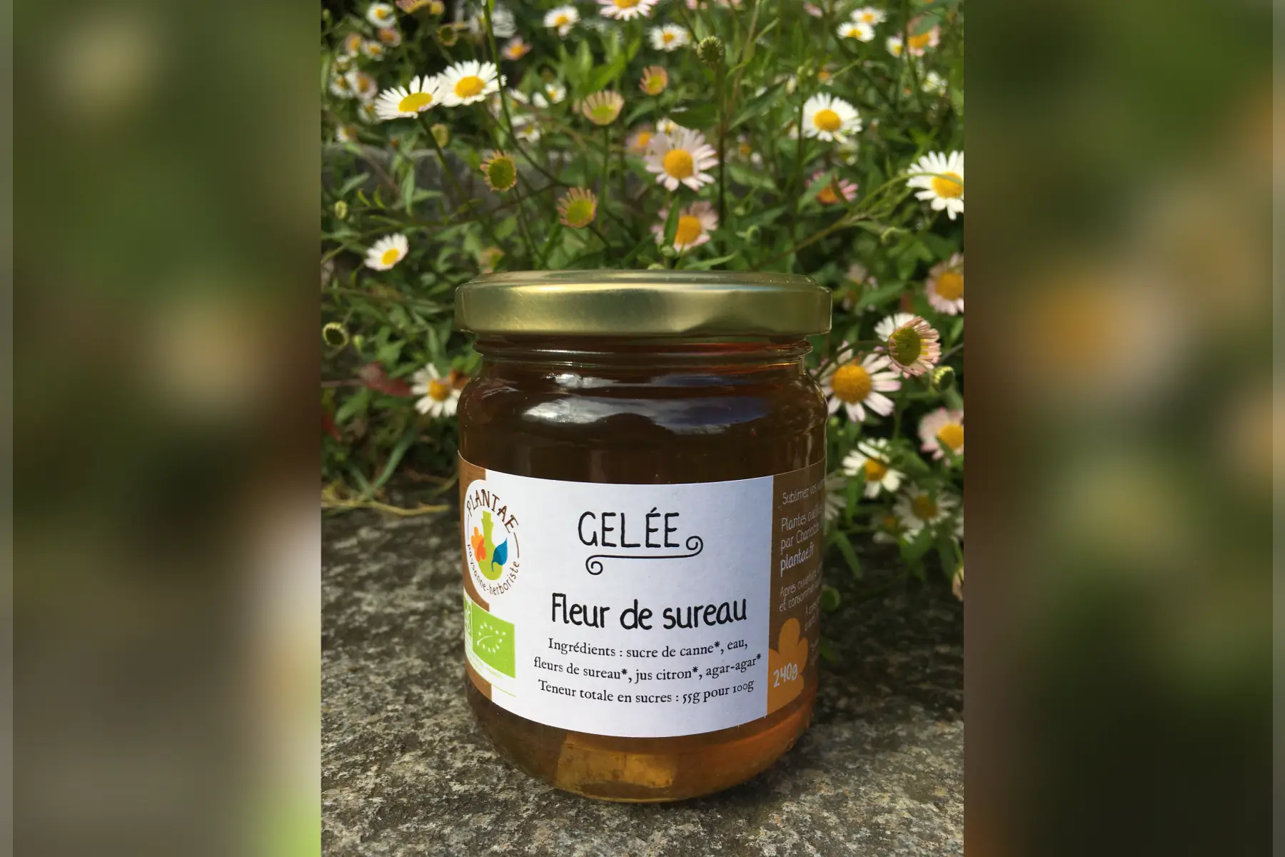 gelée de fleur de sureau 240g