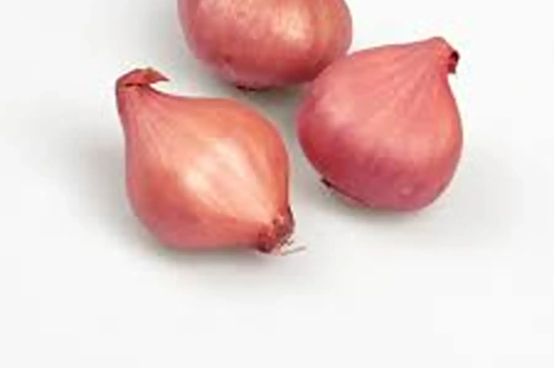 oignon rosé d'Armorique ( petit calibre )