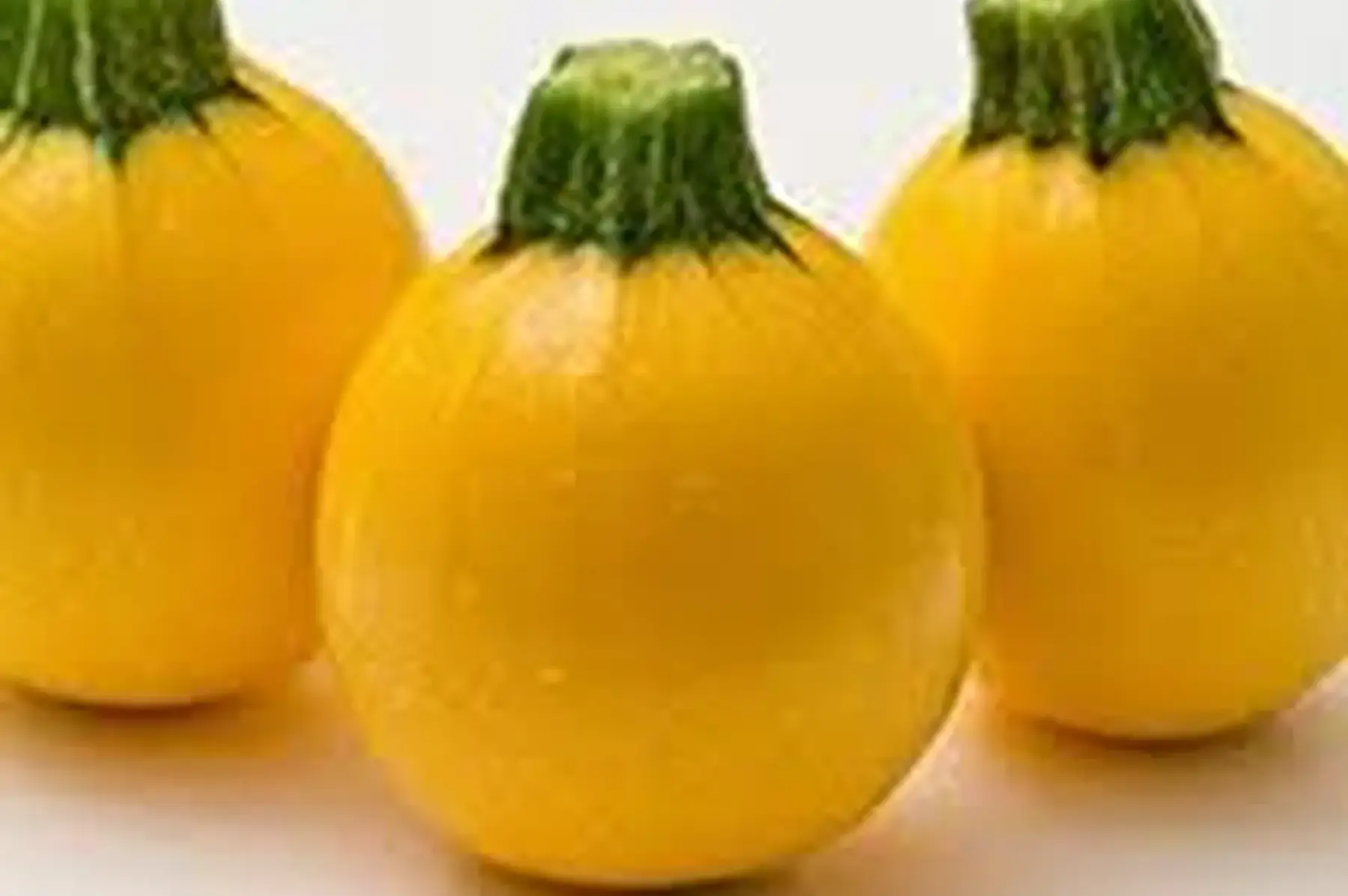 courgette ronde jaune