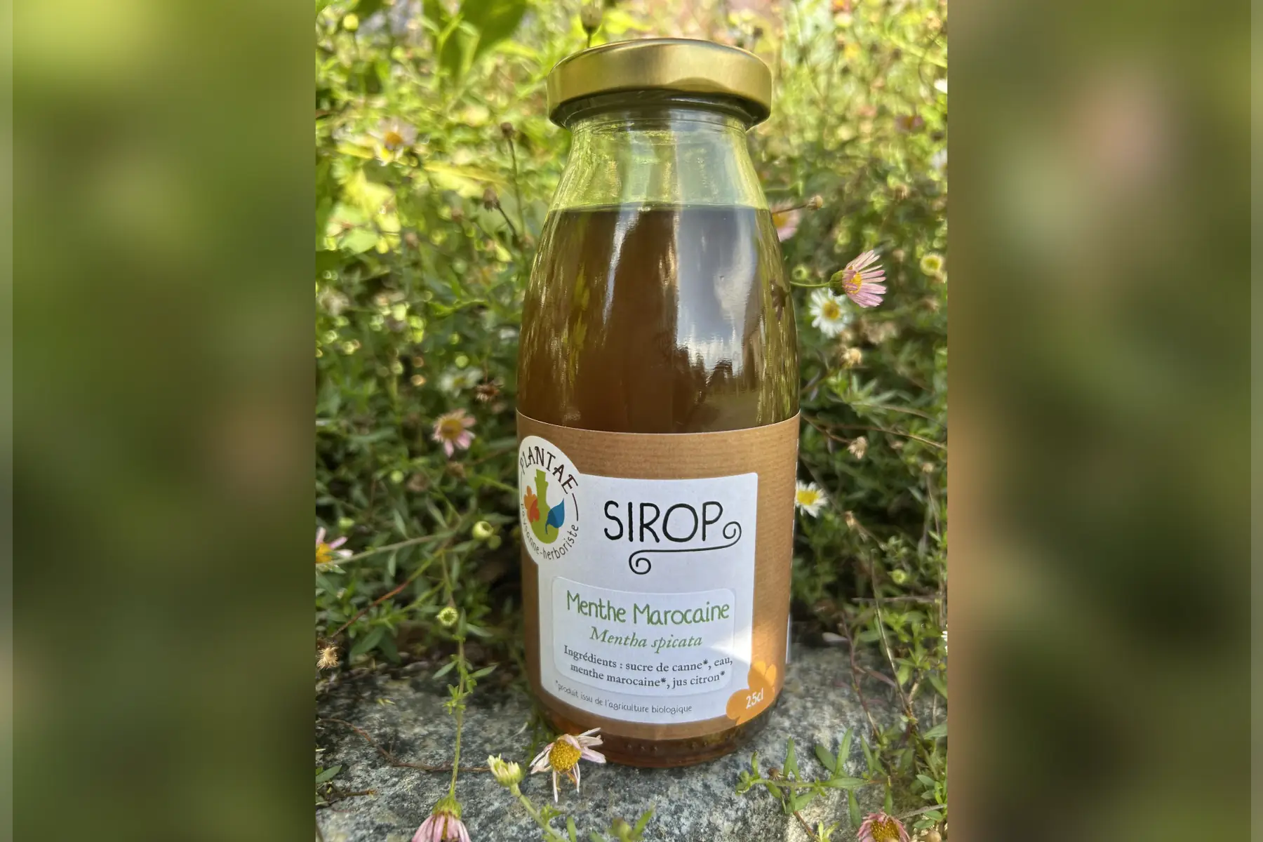 Sirop de menthe marocaine