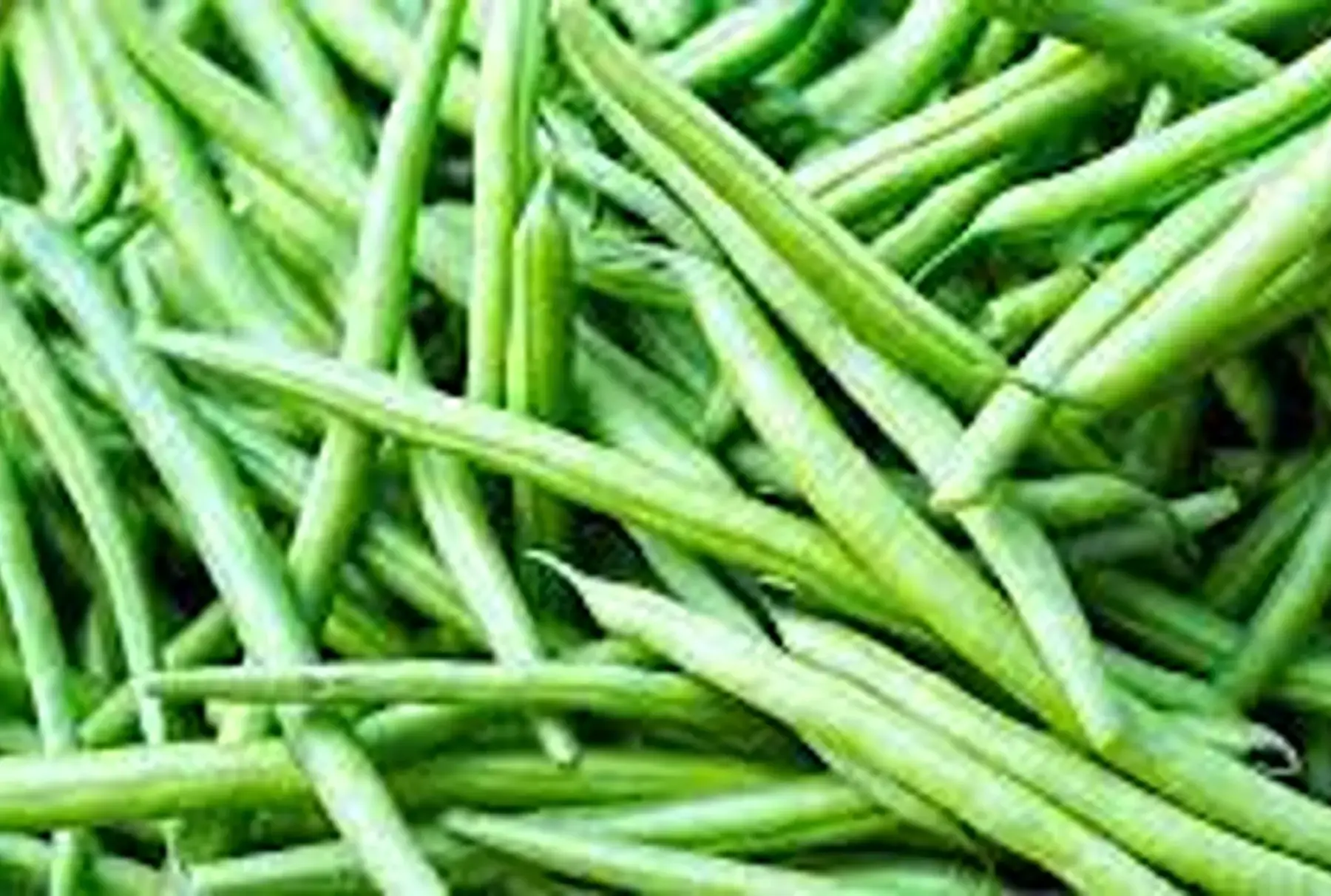 haricot vert