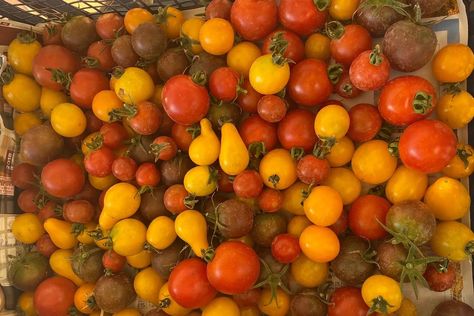 tomate cerise en melange