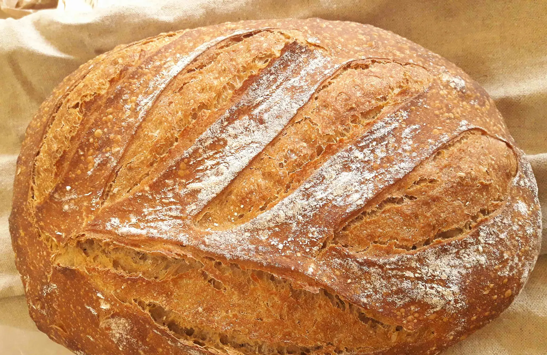pain de campagne