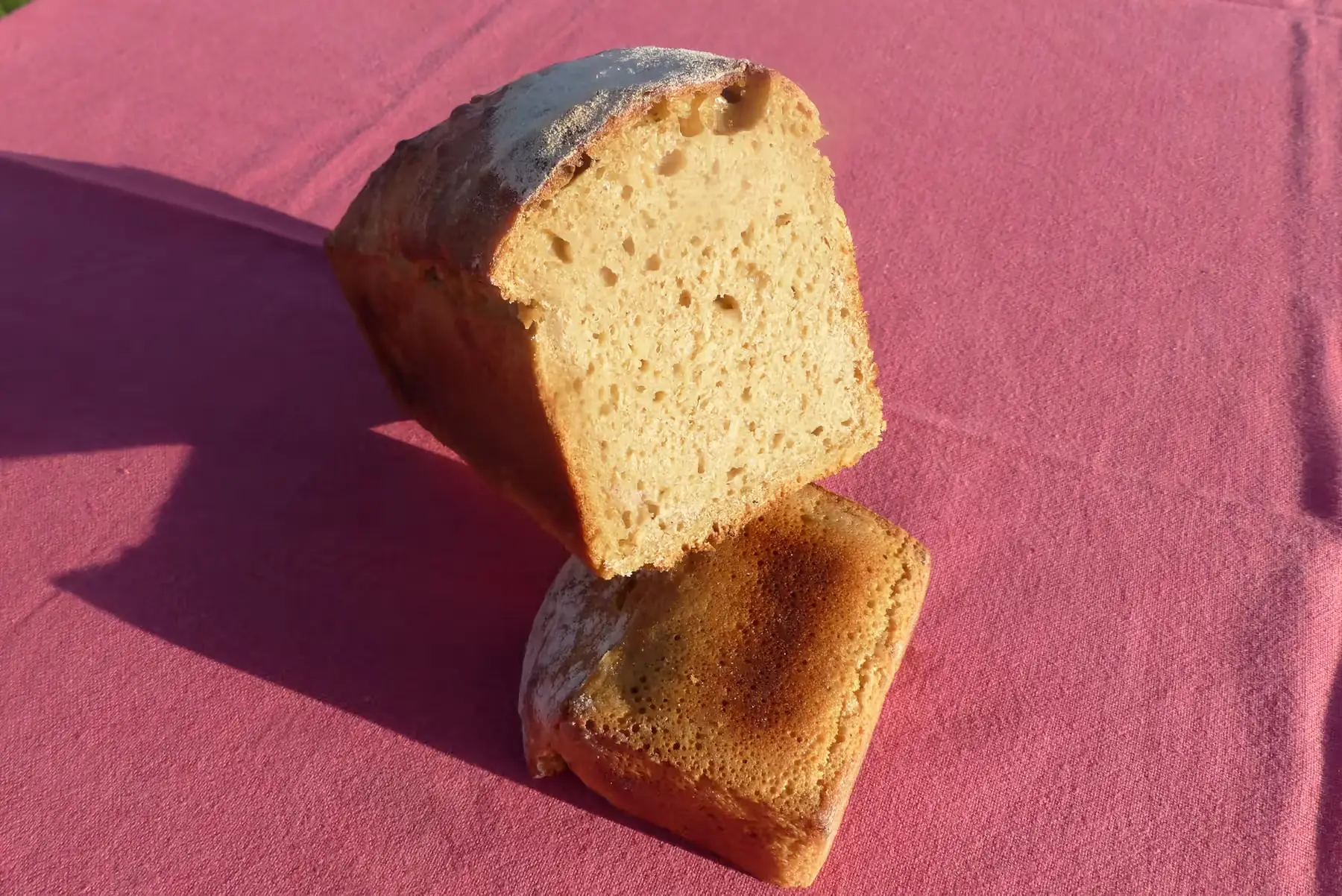 l'Engrain ou "le Pur Petit-Epeautre"