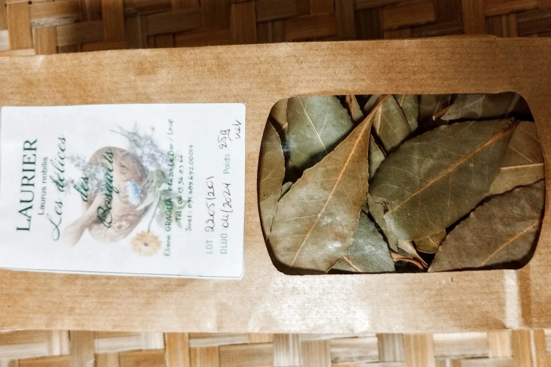 laurier noble (laurus nobilis)