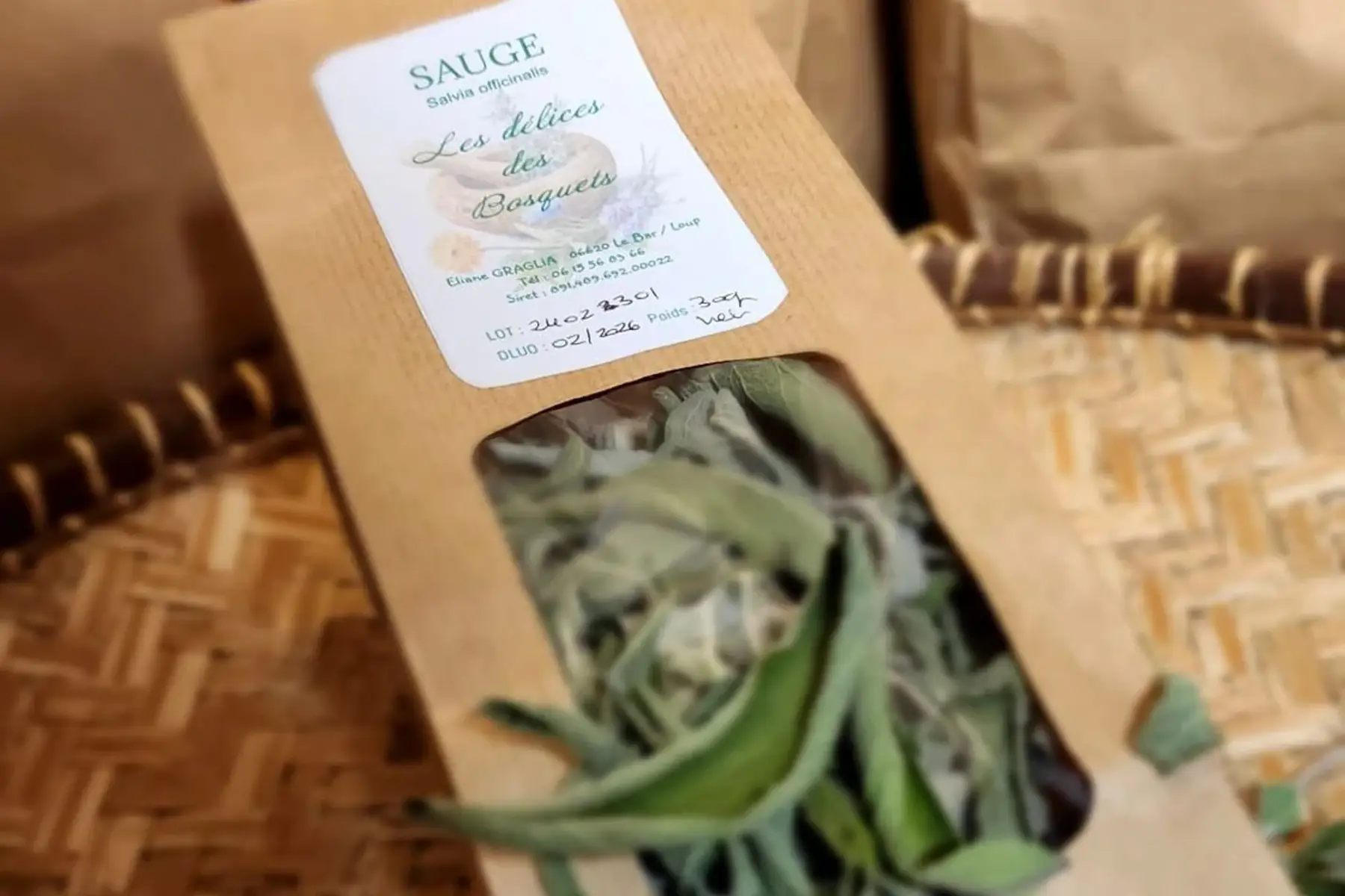 sauge officinale (salvia officinalis )