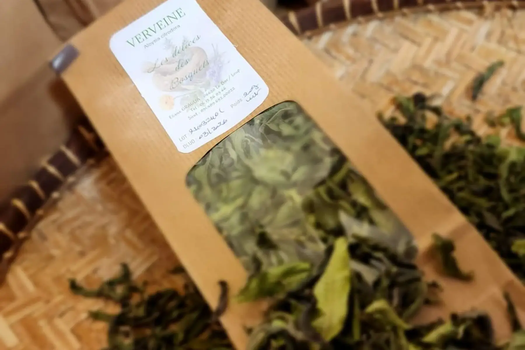 verveine citronnelle (aloysia citrodora)