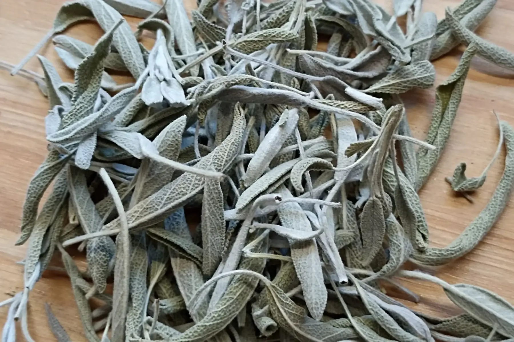 infusion sauge officinale