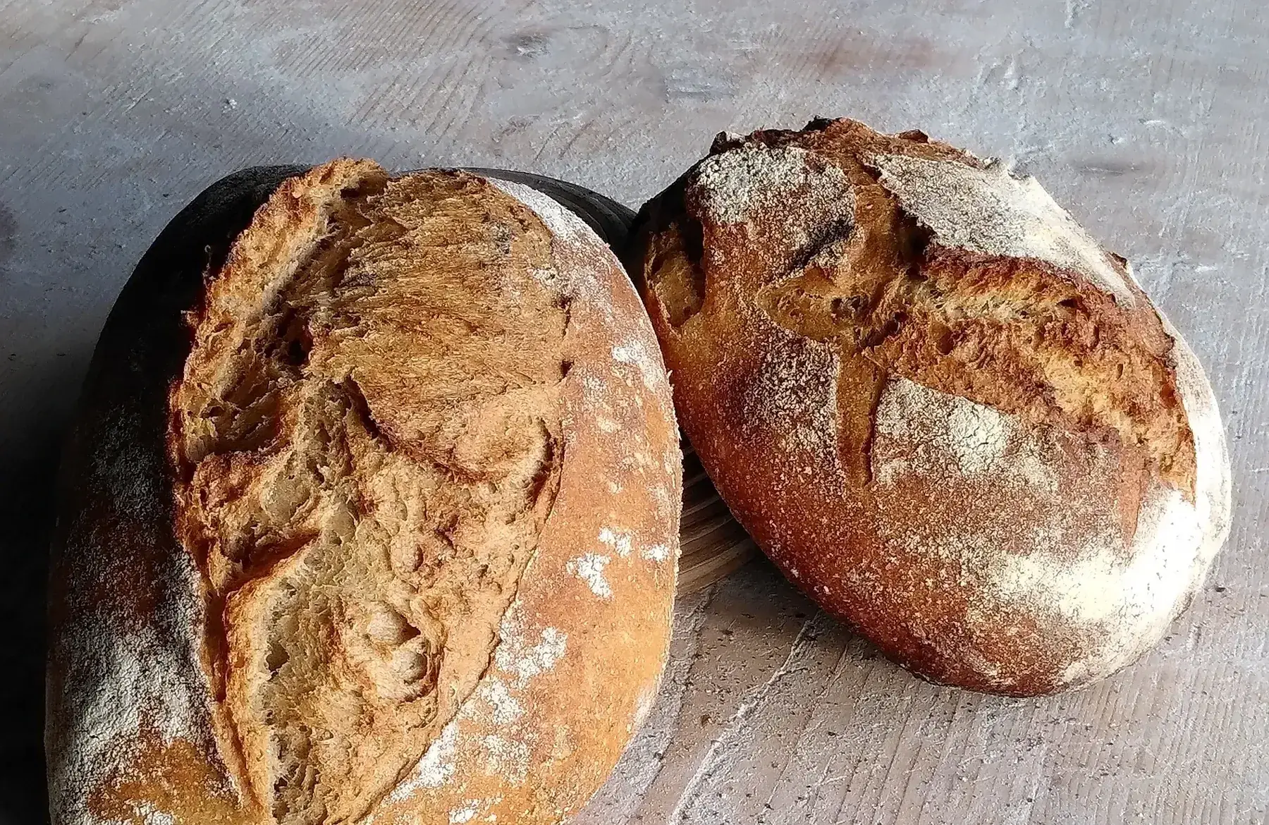 Fournil Emmaüs Le Maquis