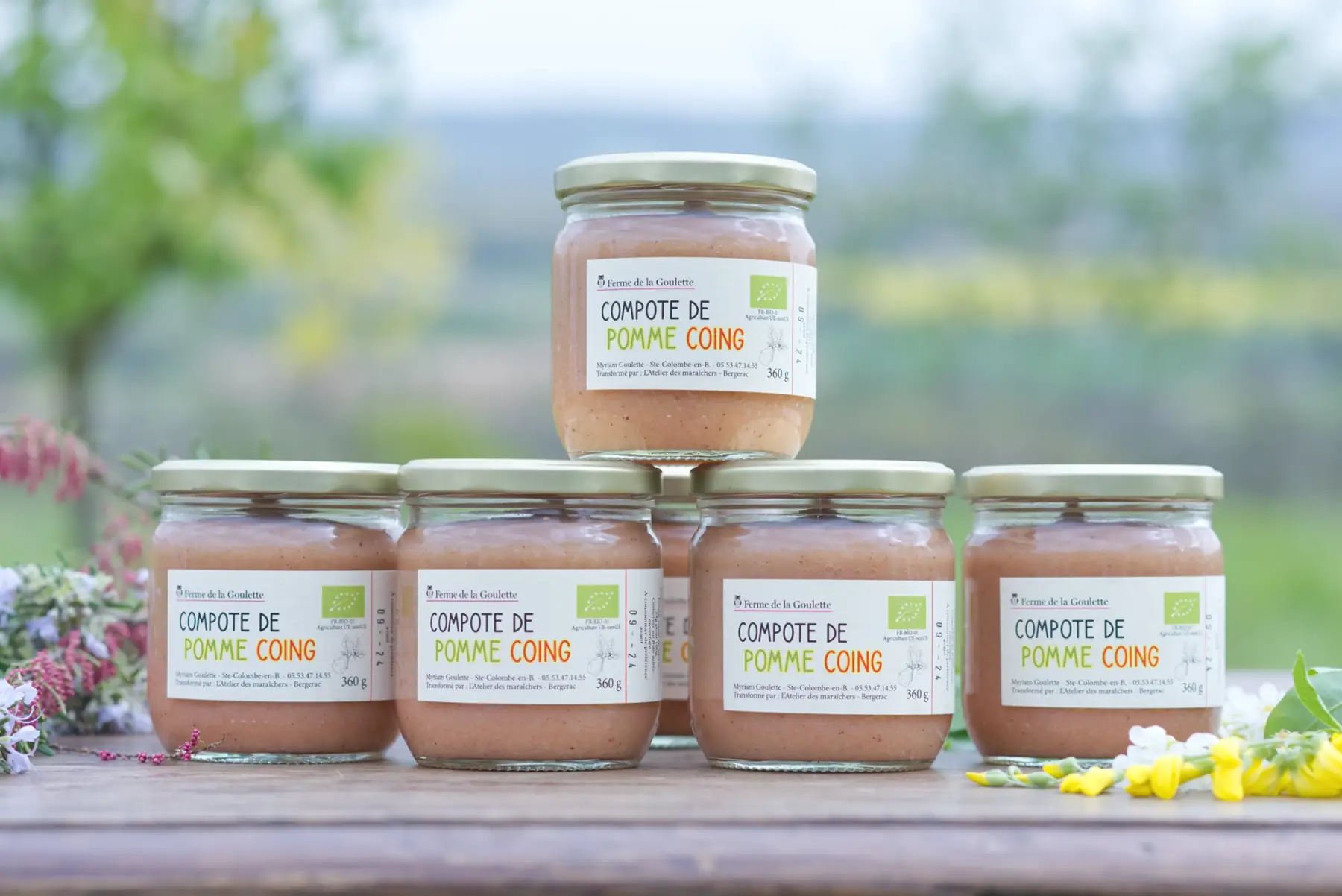 compote pomme-coing