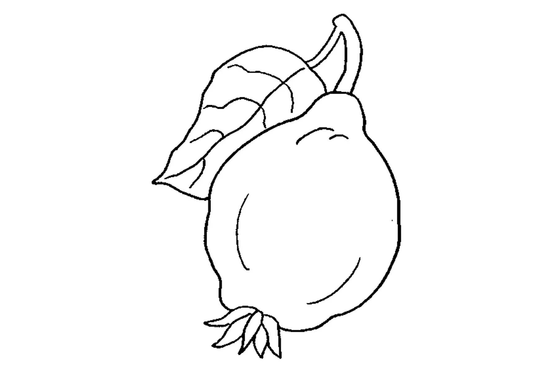 coings