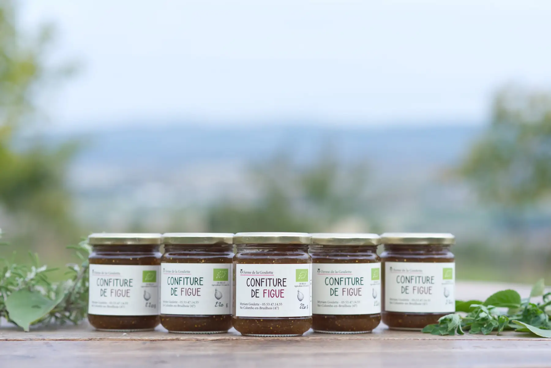 confiture de figue