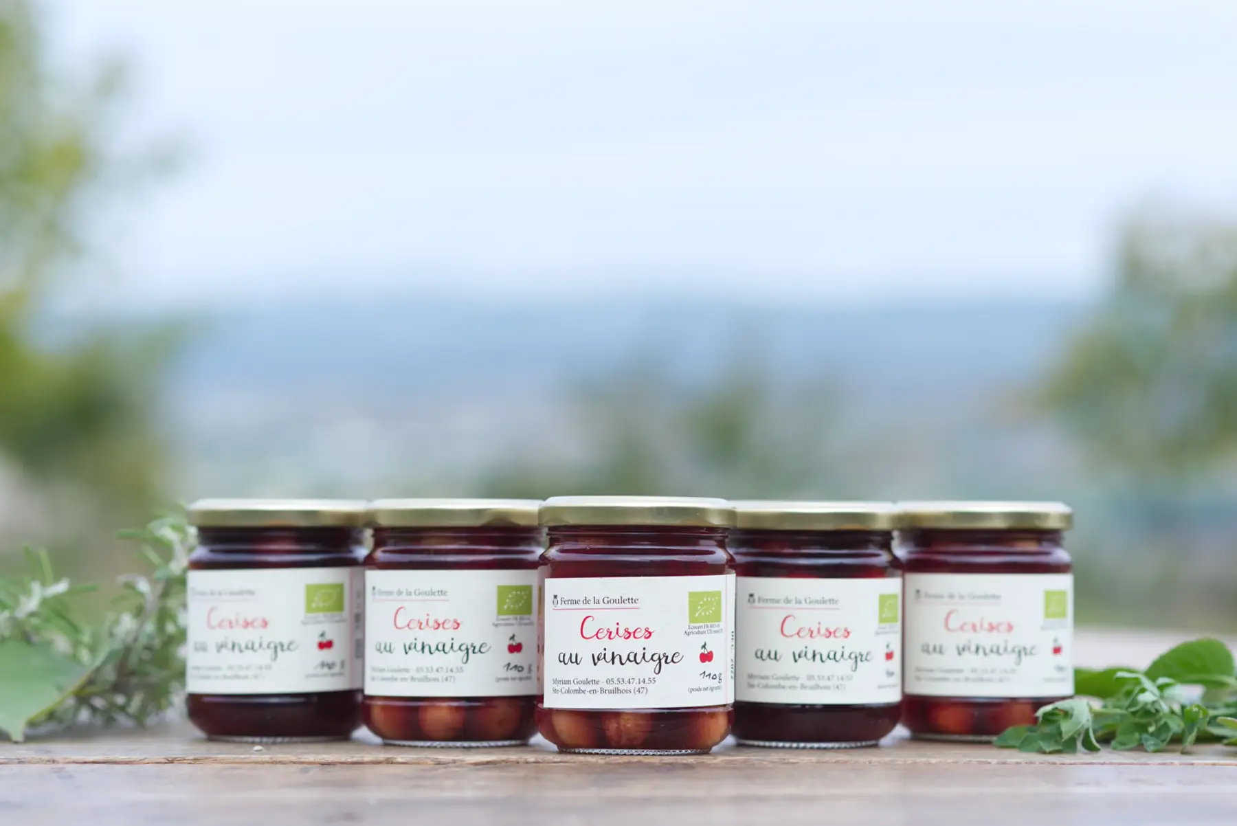 cerises au vinaigre