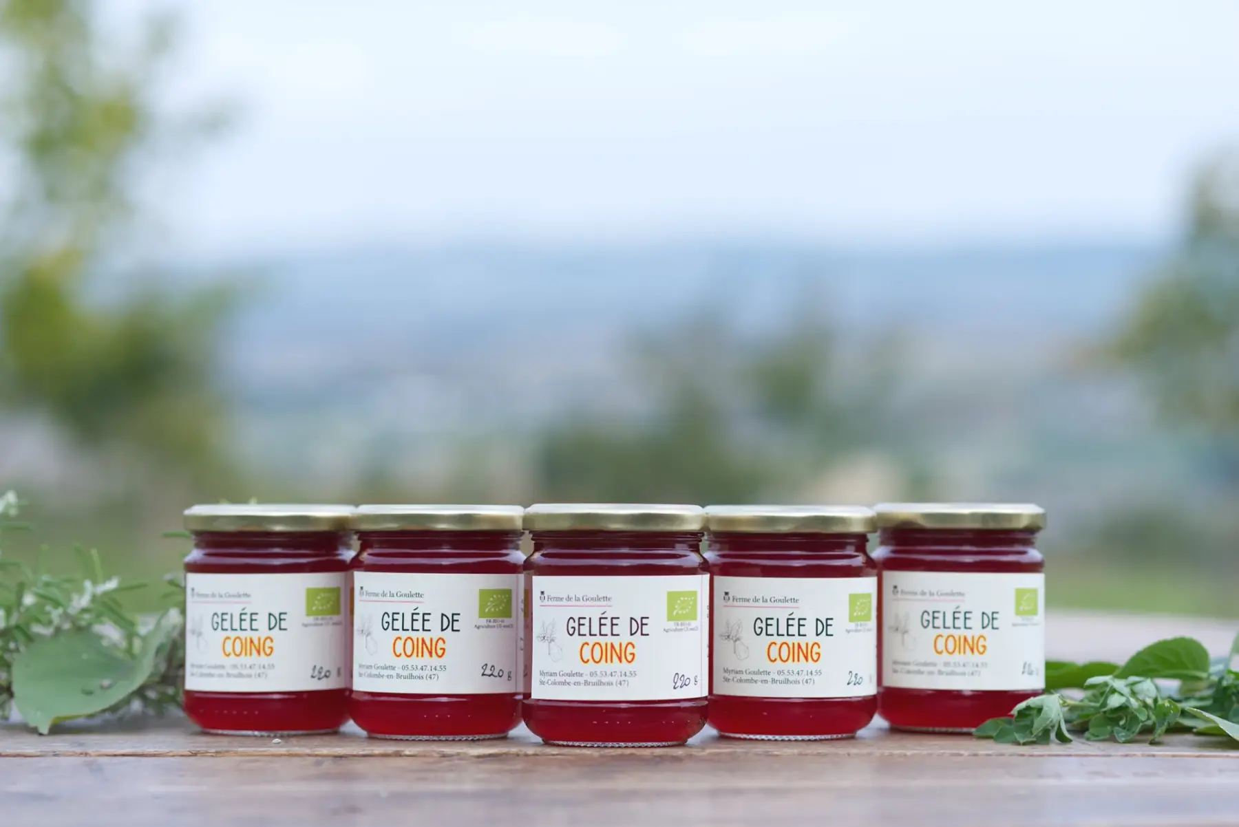gelée de coing