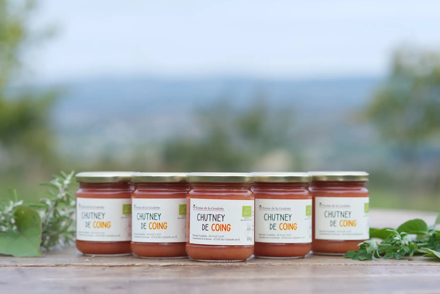 chutney de coing