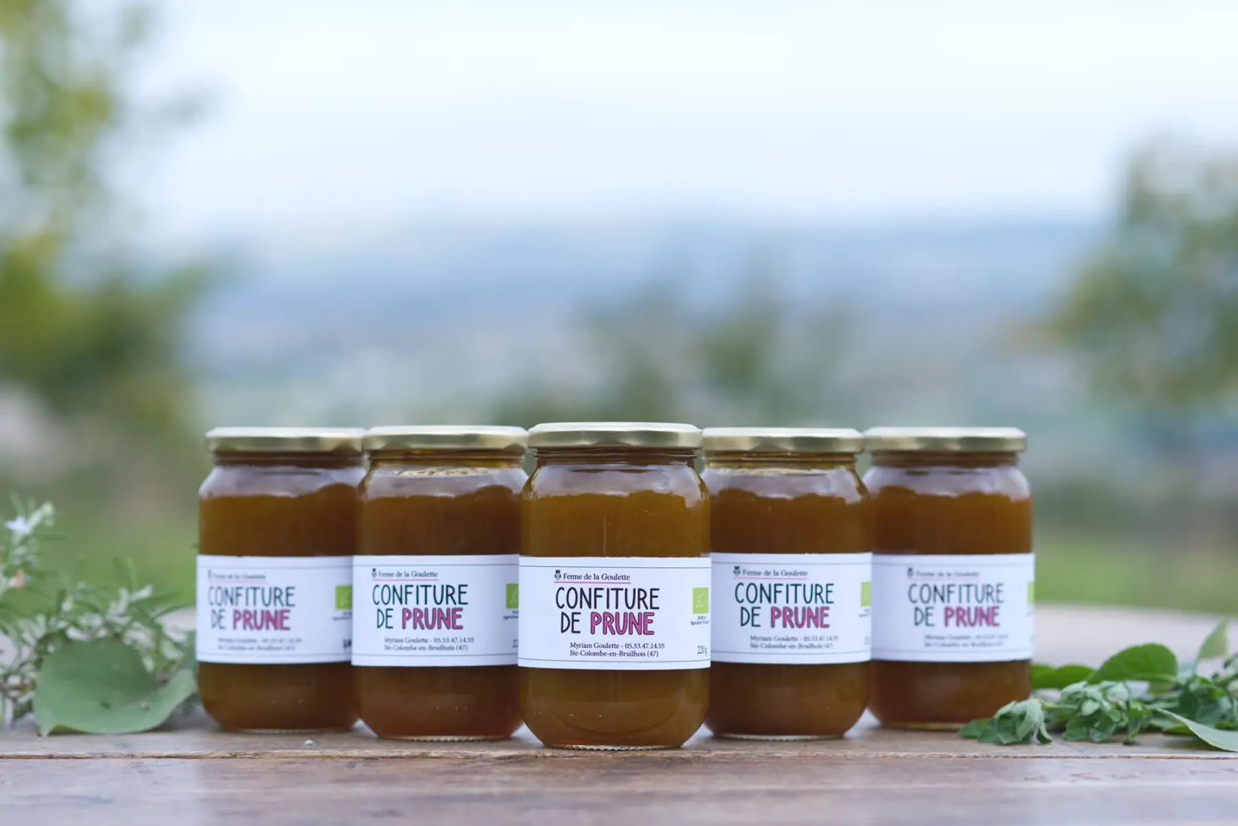 confiture de prune