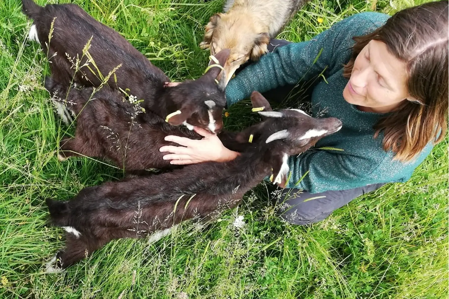 La Ferme à Roulettes - Marie-Camille TROGAN