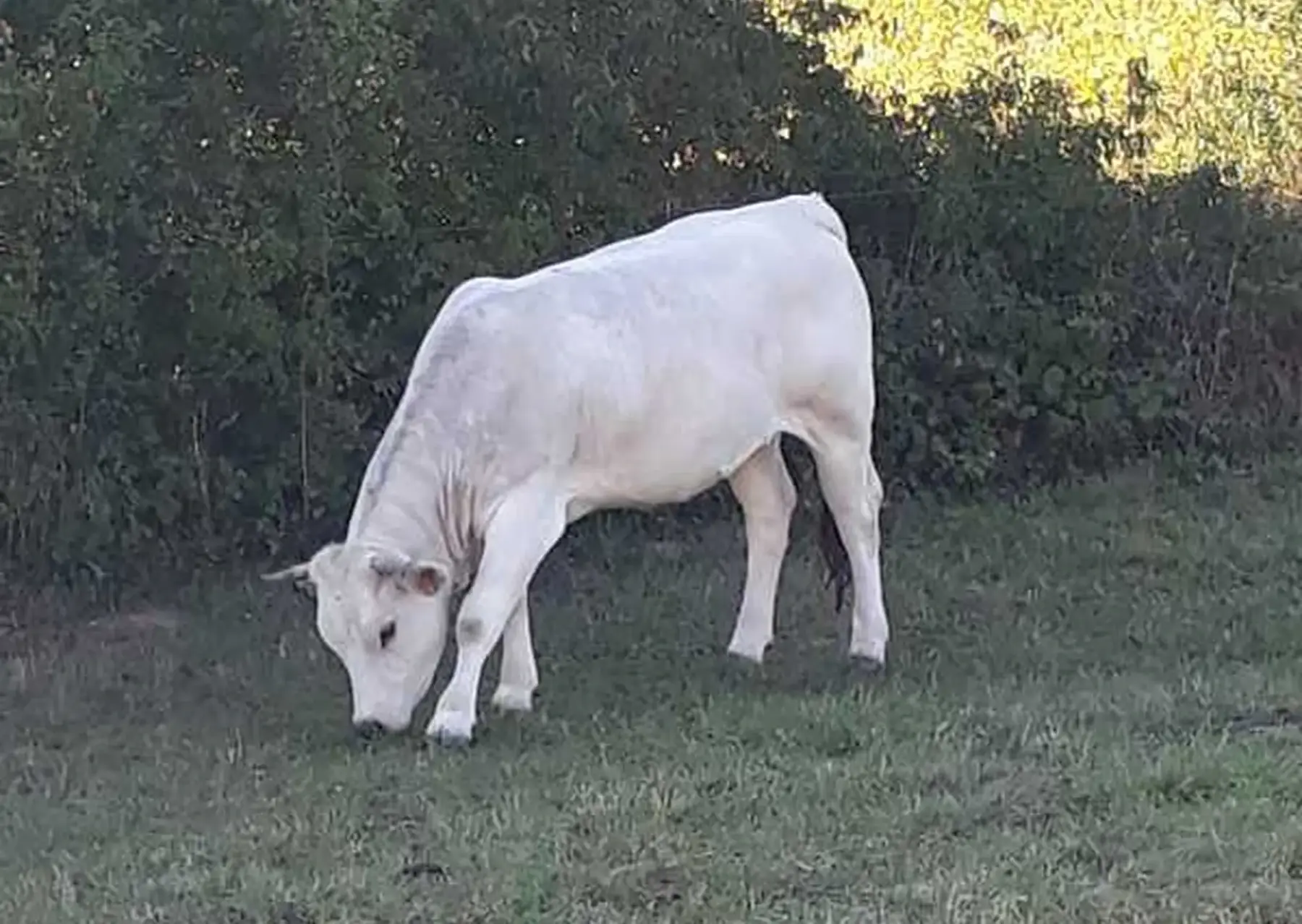 La Ferme de la RETCHE