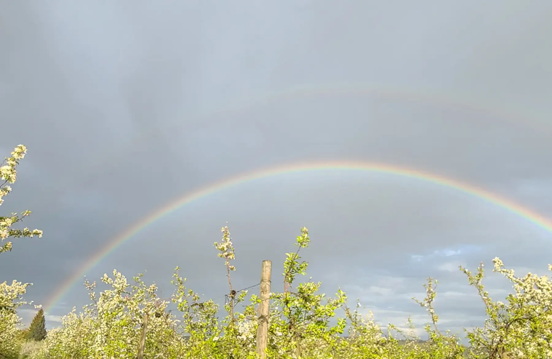 la ferme de saint fray