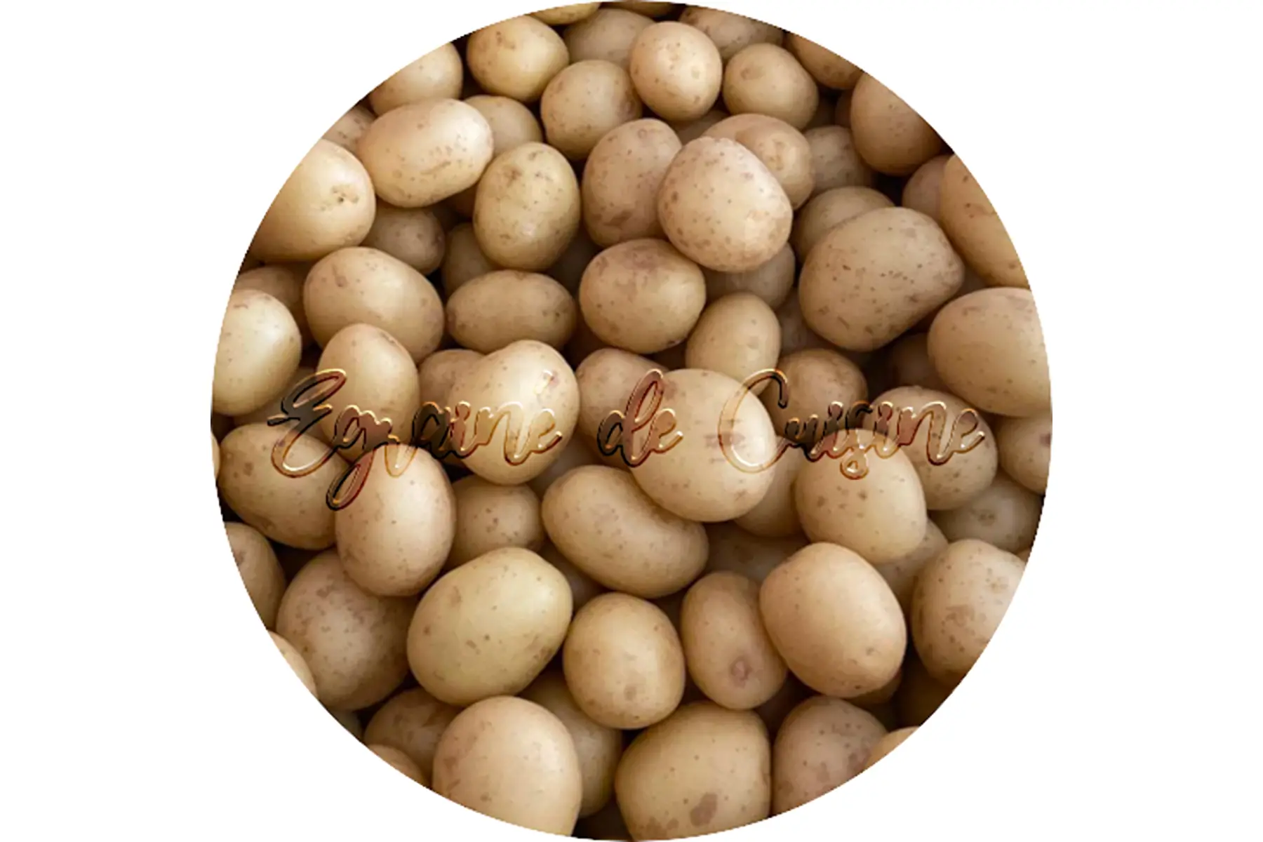 pommes de terre grenailles