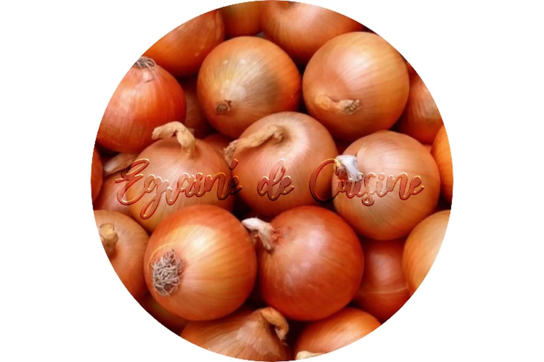 oignon jaune