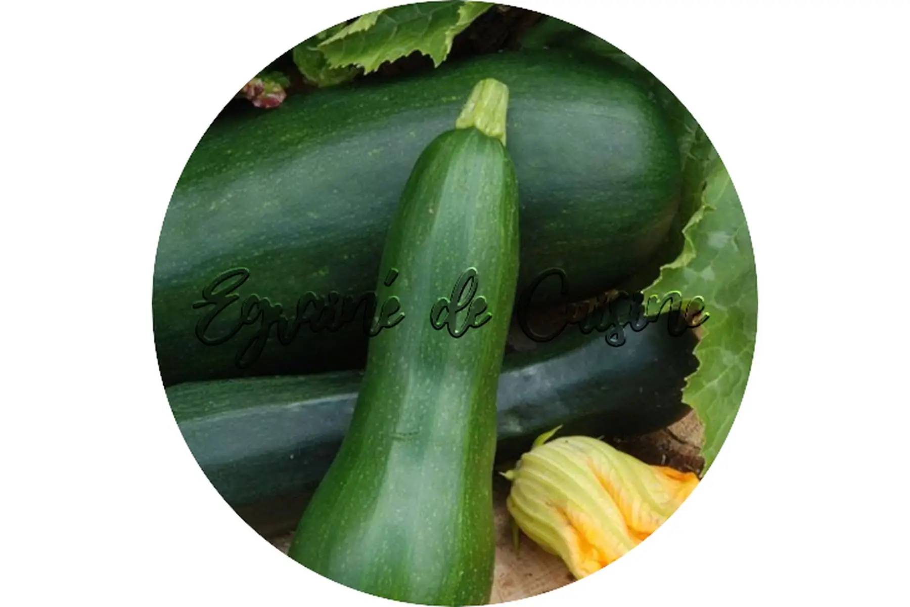 courgette