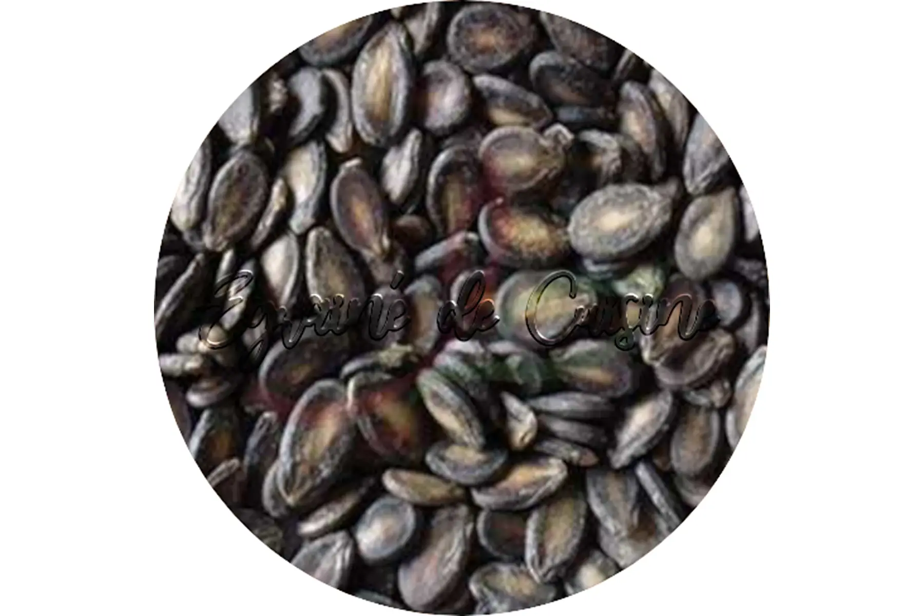 graines de melons/pastèques