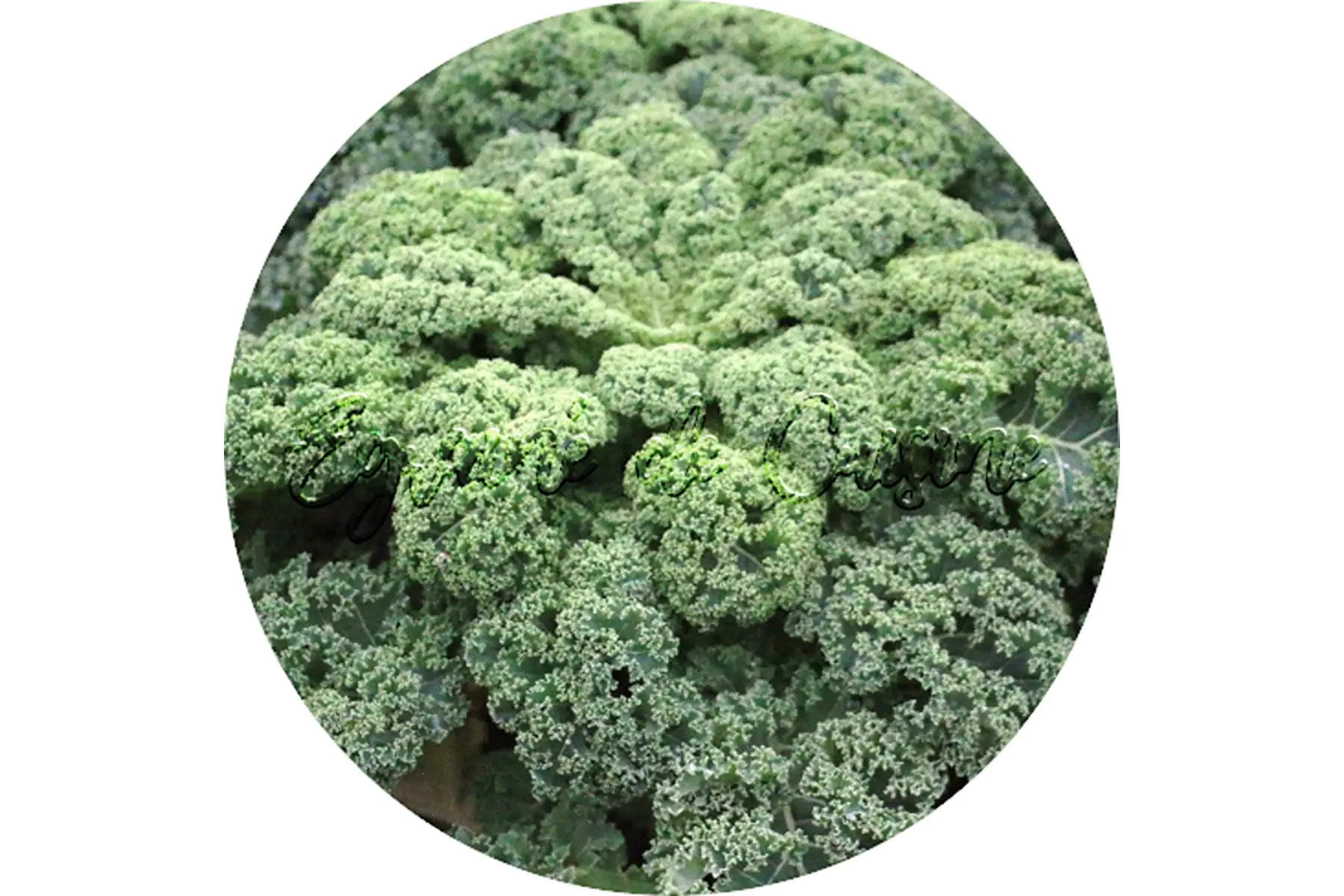 chou kale