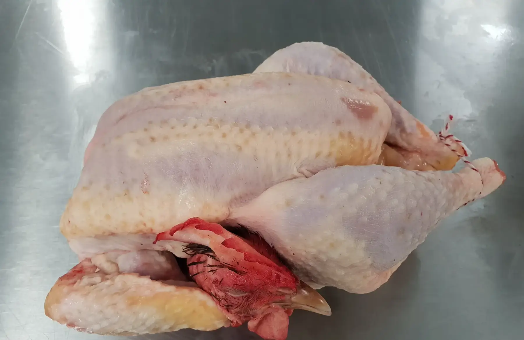 poule (pour poule au pot)