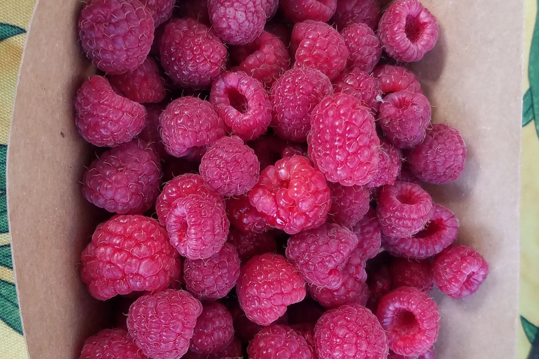 framboises