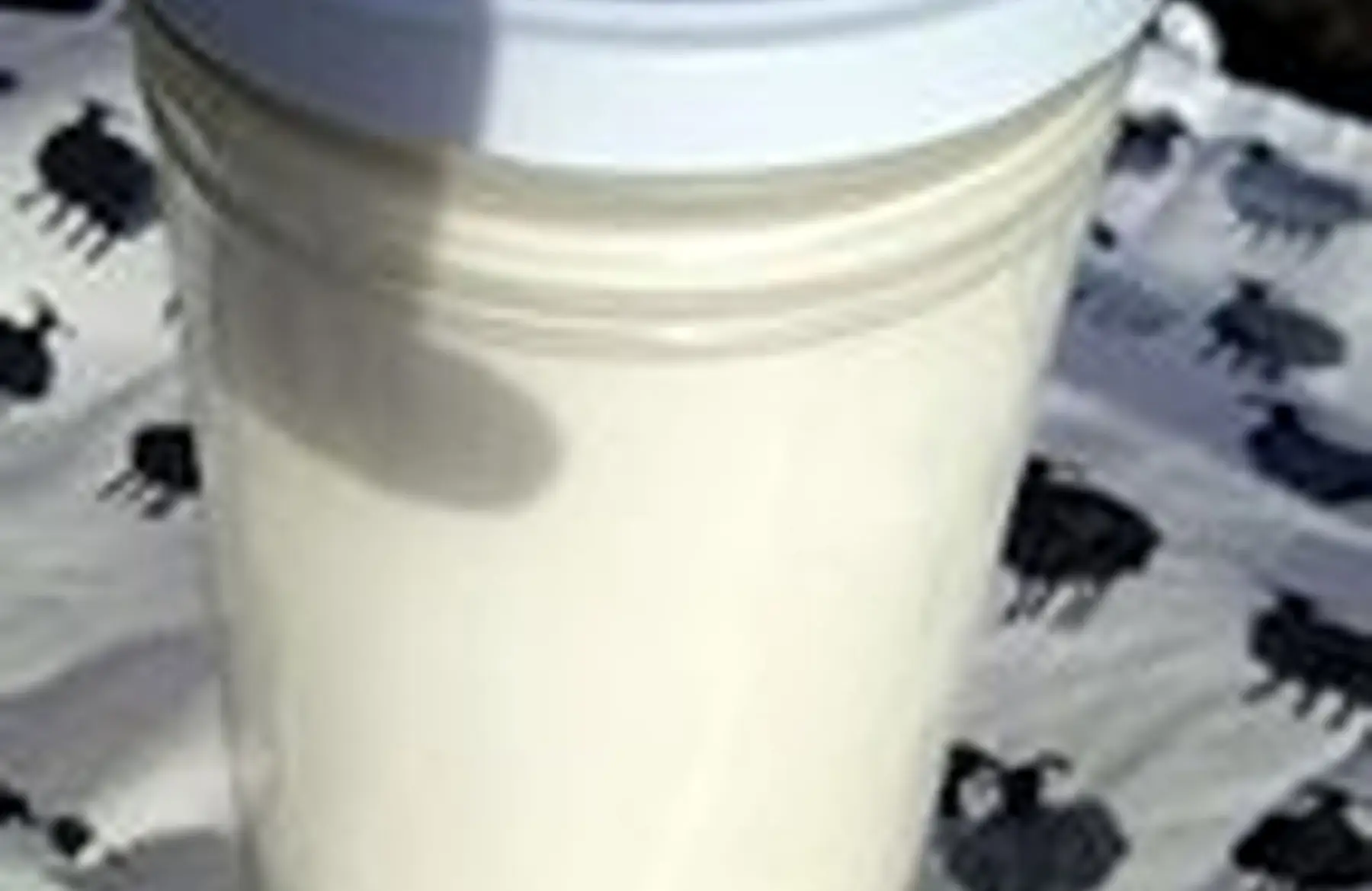 grand yaourt de brebis