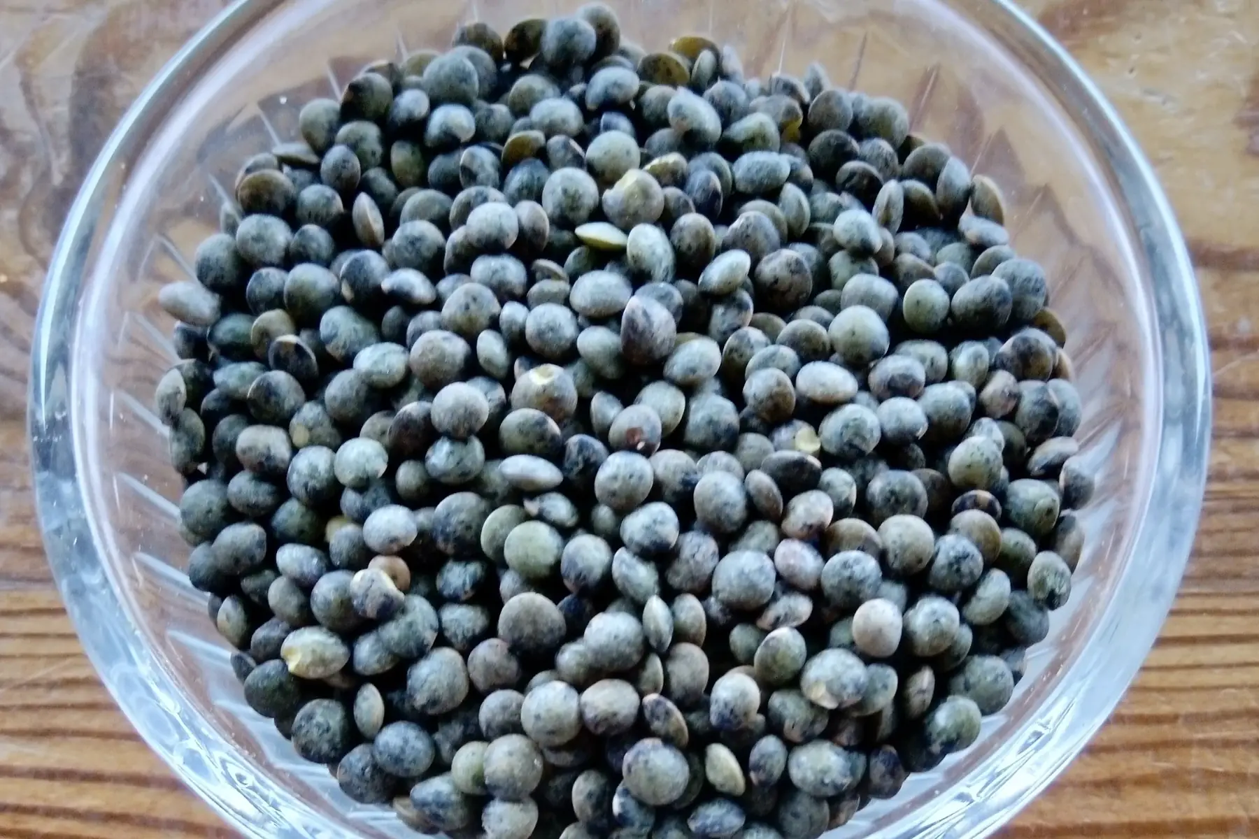 légumes secs : lentilles vertes