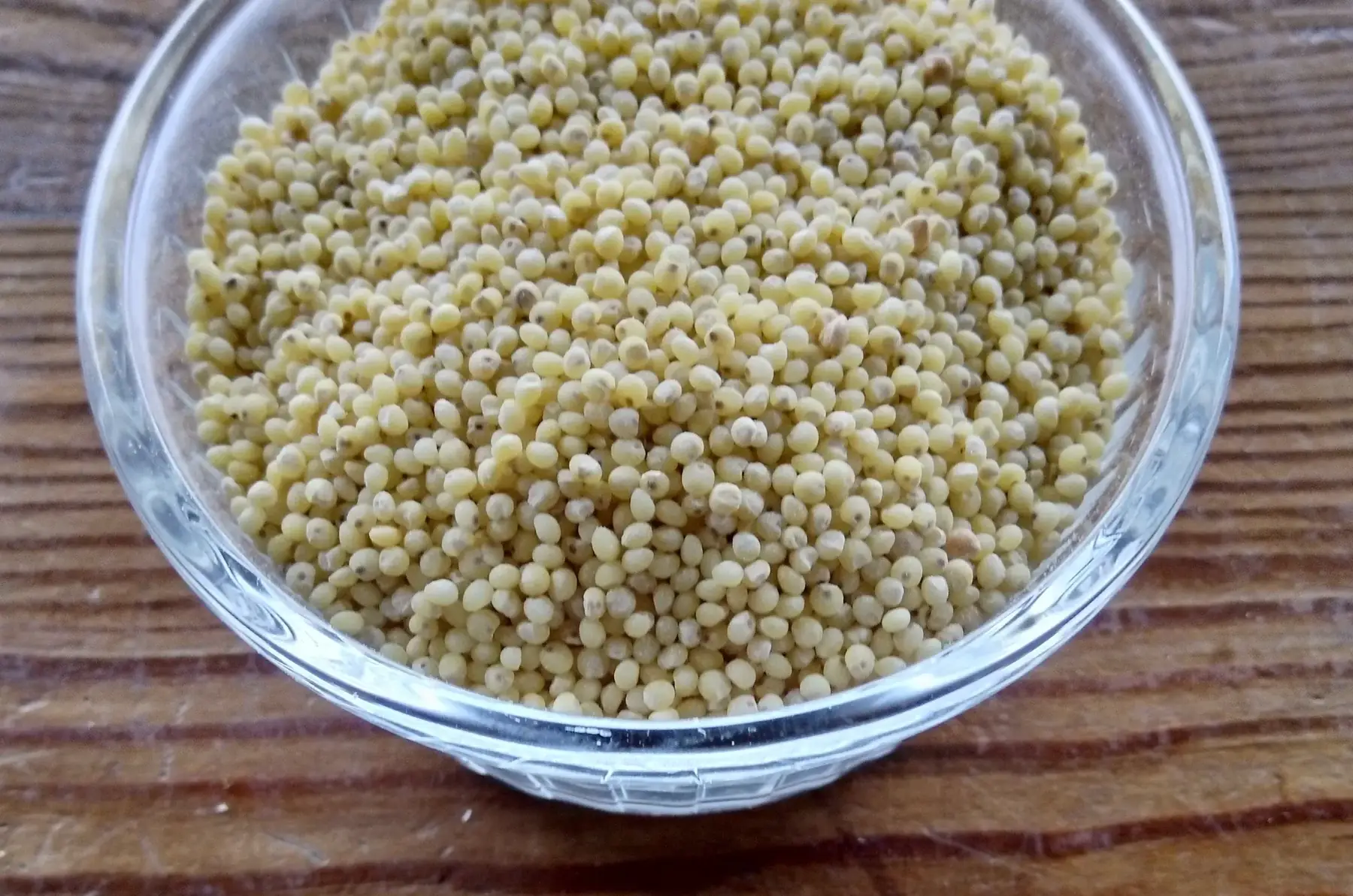 céréales à cuire : millet