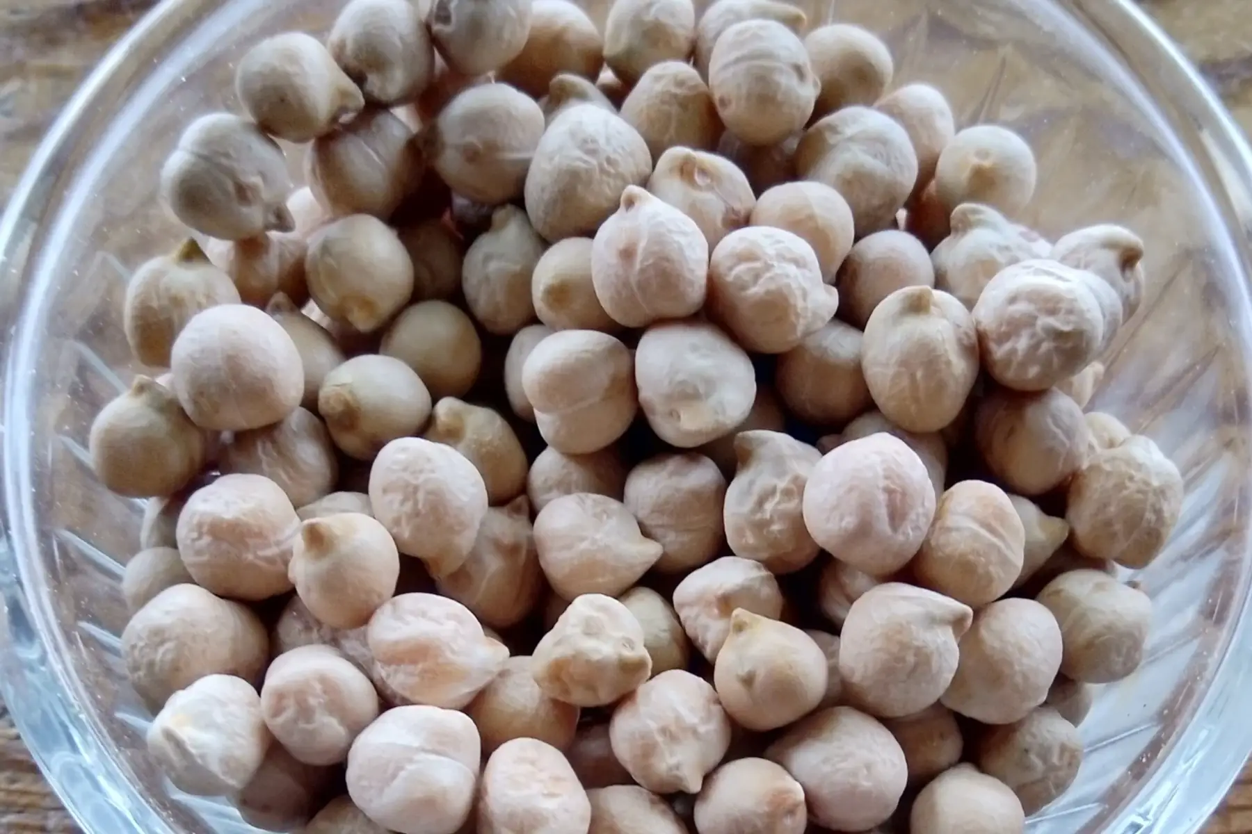 légumes secs : pois chiche