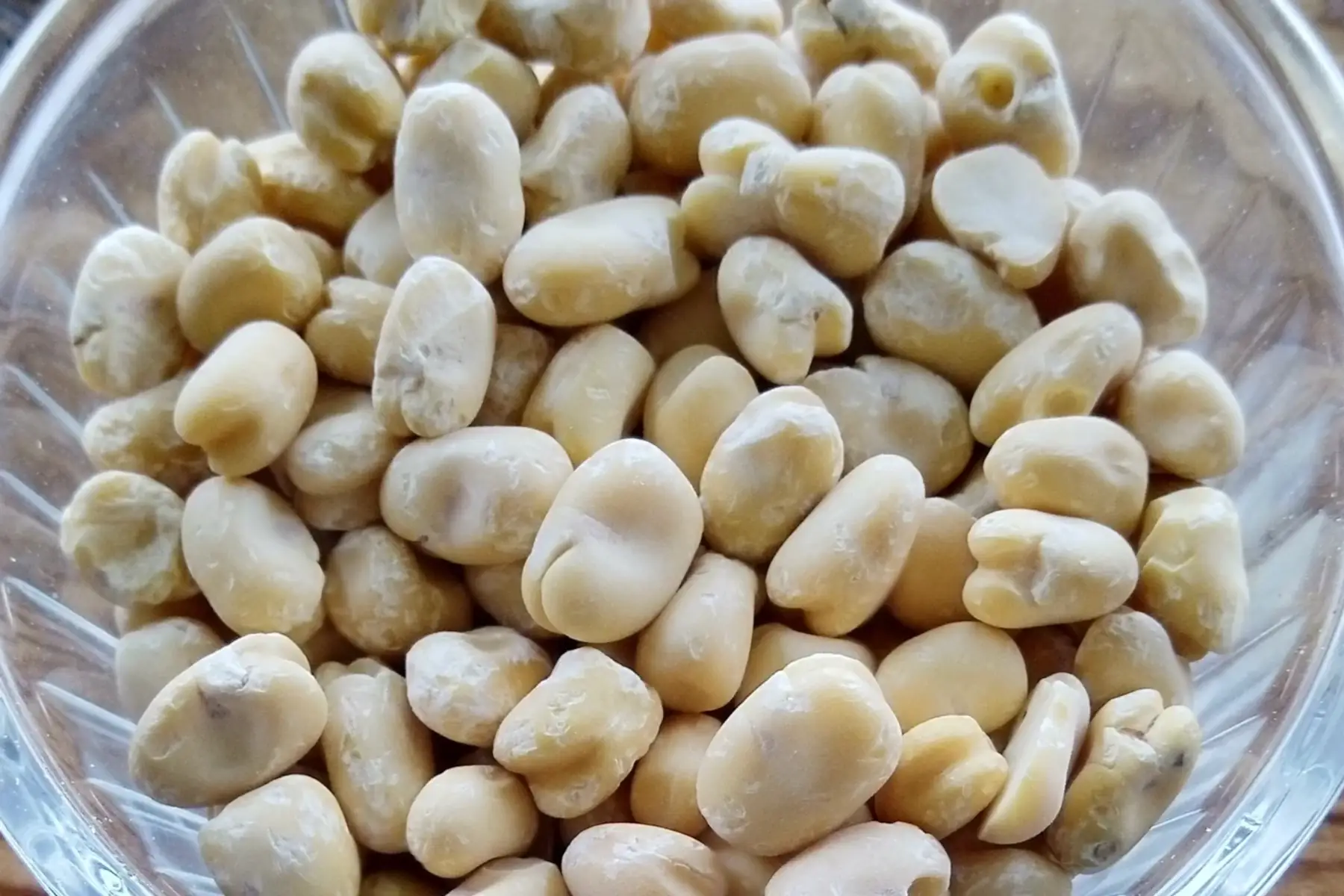 légumes secs : fèves décortiquées