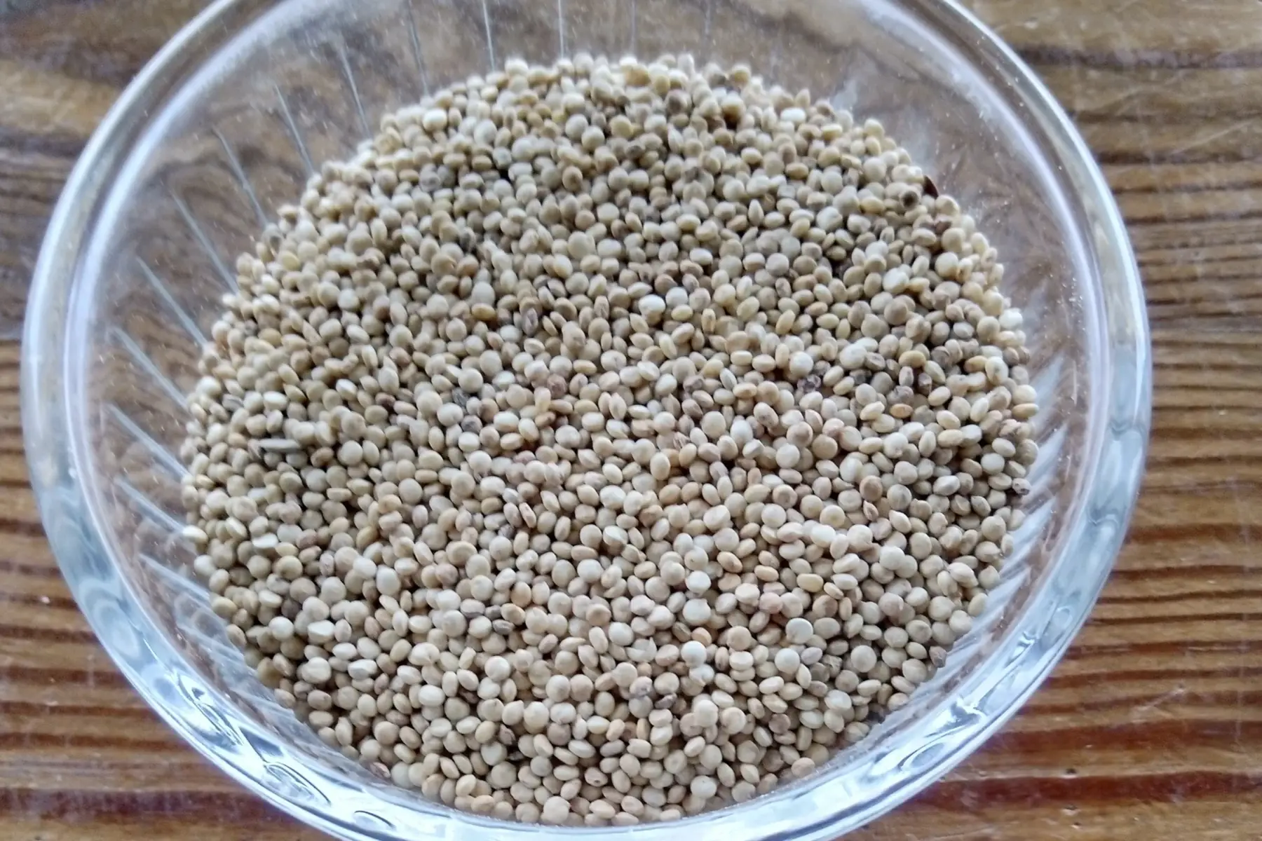 céréales à cuire : quinoa