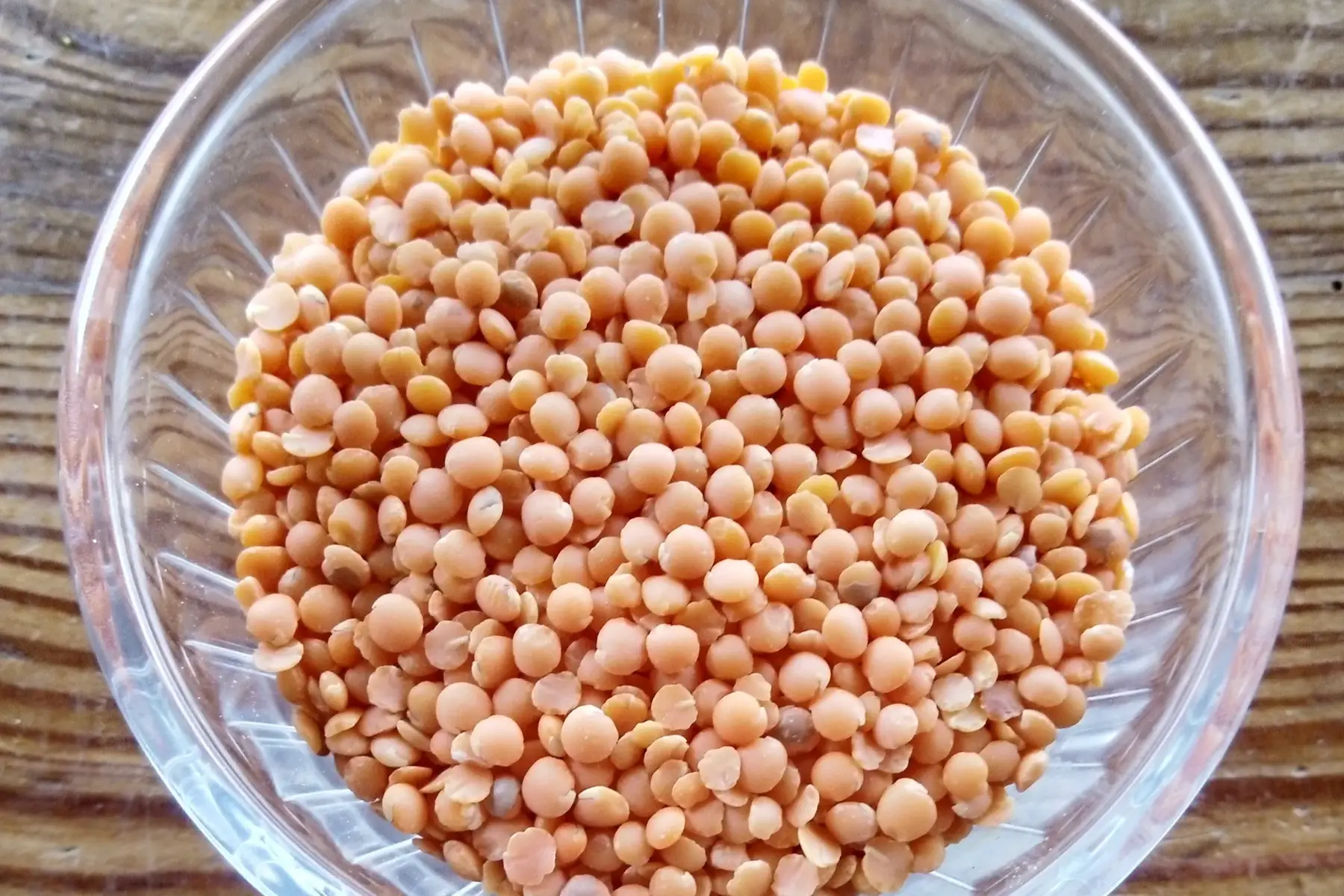 légumes secs : lentilles corail