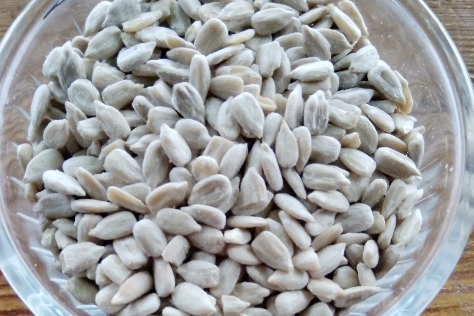 graines de tournesol