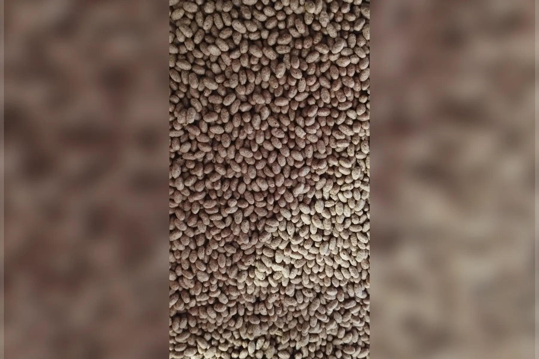 céréales petit dej riz soufflés choco